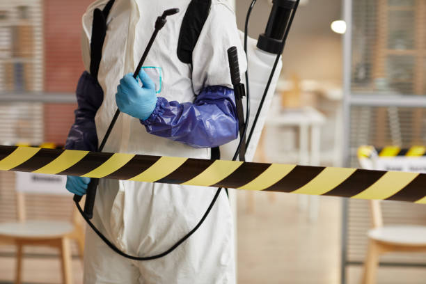 Professional Sewage Cleanup technician working in Thornton, NH