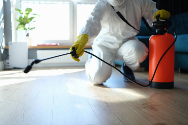 Reliable Sewage Cleanup contractor in Thornton, NH by Trauma Clean Pros